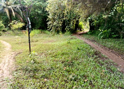 Land for sale Muang Phuket Phuket : ที่ดินเปล่า 1267.2 square meter Phuket Muang Phuket Rawai for 1192000 THB