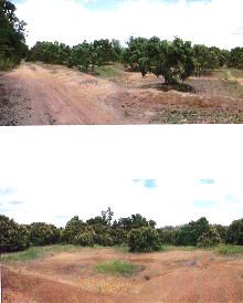 Land for sale Lamphun : ที่ดินเปล่า 315072 square meter Lamphun Wieng Nong long Nong Long for 20890000 THB