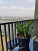 listing thumbnail image 10