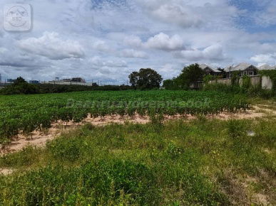 picture  Purple-Zoned Land for Industrial Development | 24-0-49 Rai | THB 4M per Rai | Bo Win, Si Racha, Chonburi - 6/9
