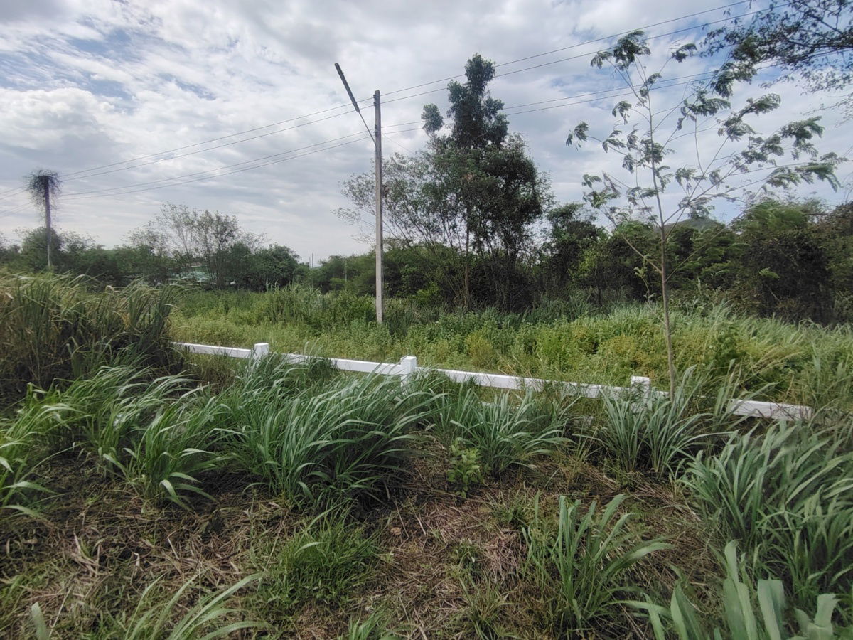 picture 2-0-0 Rai | Awesome Home Building Plot  Ideal For Building Your Dream Villa(s) - 9/15