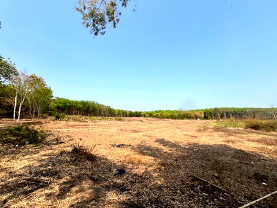 Land for sale : ที่ดินเปล่า 48144 square meter Sakon Nakhon Kham Ta Kla Kham Ta Kla for 1722000 THB