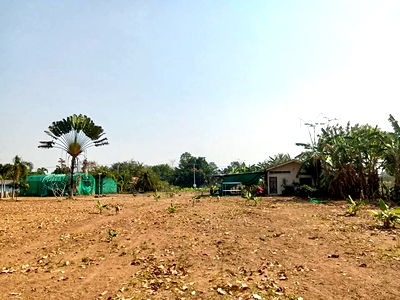 Land for sale Bang Lamung Chonburi : Land for sale 3 km from Na Jomtien zone