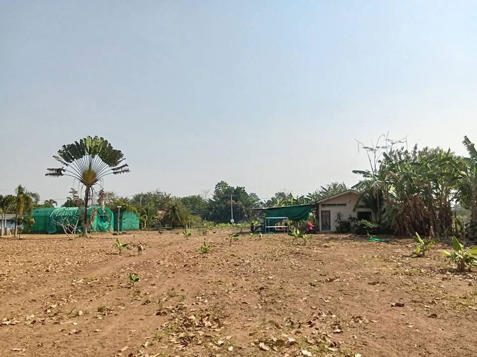 picture Land for sale 3 km from Na Jomtien zone - 1/5