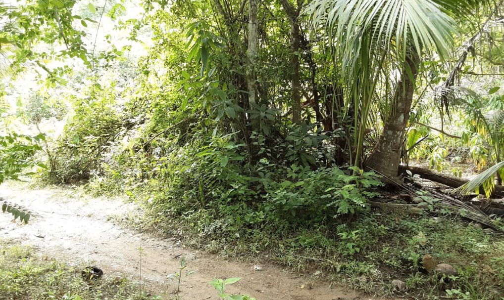 picture ที่ดินเปล่า 2187.2 square meter Phuket Muang Phuket Rawai for 2275000 THB - 1/3