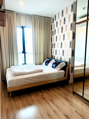 Condos for rent Big C Extra Sukhaphiban 3 : Rent Knightsbridge Collage Ramkamhaeng beautiful and cozy