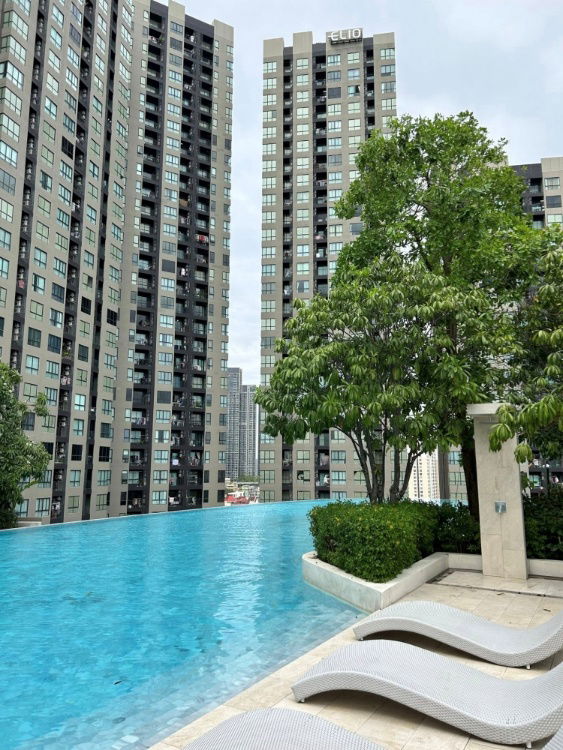 picture TA7617📲Line ID @556ryccg 🚄31 sqm 1 Bedroom Floor6-Pool view Elio Del Nest Sukhumvit 103 Fully furnished near BTS Udomsuk - 11/11