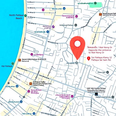 Land for sale Bang Lamung Chonburi : Land for sale in Soi Pattaya Klang, near Big Xtra