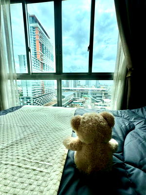 Condos for sale MRT Bang Sue : For Sales Ideo Mobi Bangsue Grand Interchange Unit 5/170