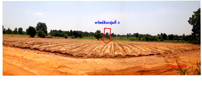 Land for sale Muang Khon Kaen Khon Kaen : ที่ดินเปล่า 26000 square meter Khon Kaen Muang Khon Kaen Daeng Yai for 3580000 THB