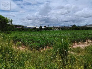picture  Purple-Zoned Land for Industrial Development | 24-0-49 Rai | THB 4M per Rai | Bo Win, Si Racha, Chonburi - 7/9