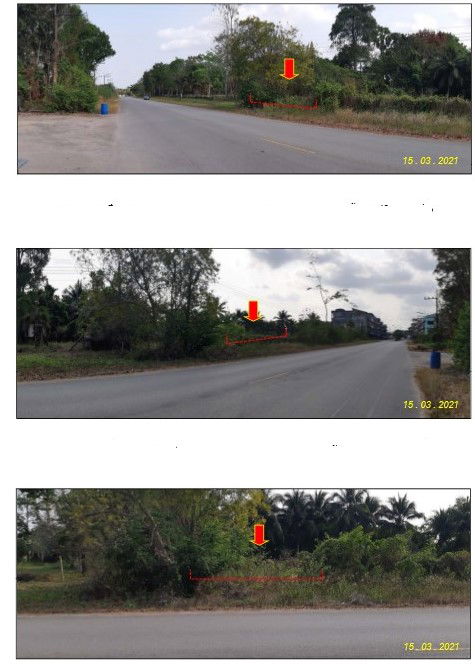 picture ที่ดินเปล่า 88.4 square meter Chumphon Muang Chumphon Ban Na for 317000 THB - 4/6