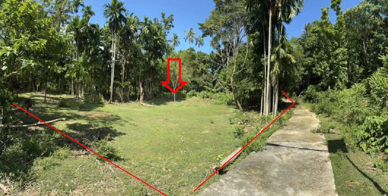 picture ที่ดินเปล่า 2187.2 square meter Phuket Muang Phuket Rawai for 2275000 THB - 2/3