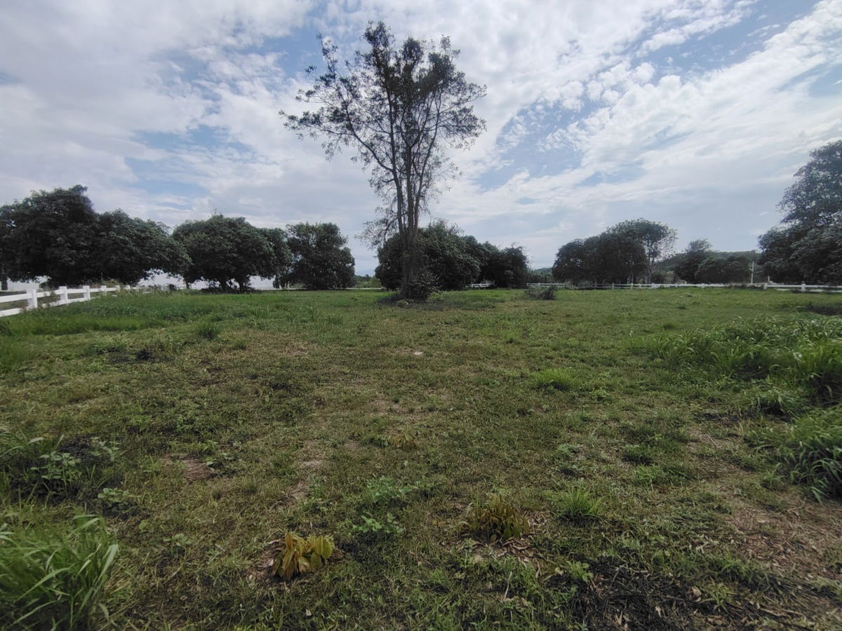 picture 2-0-0 Rai | Awesome Home Building Plot  Ideal For Building Your Dream Villa(s) - 5/15