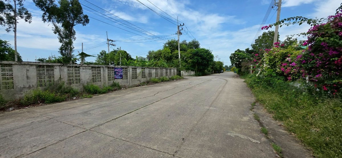 รูป ที่ดิน ท้ายเกาะเลควิว สามโคก  หลังโรงเกลือท้ายเกาะ - รูปที่ 10/14