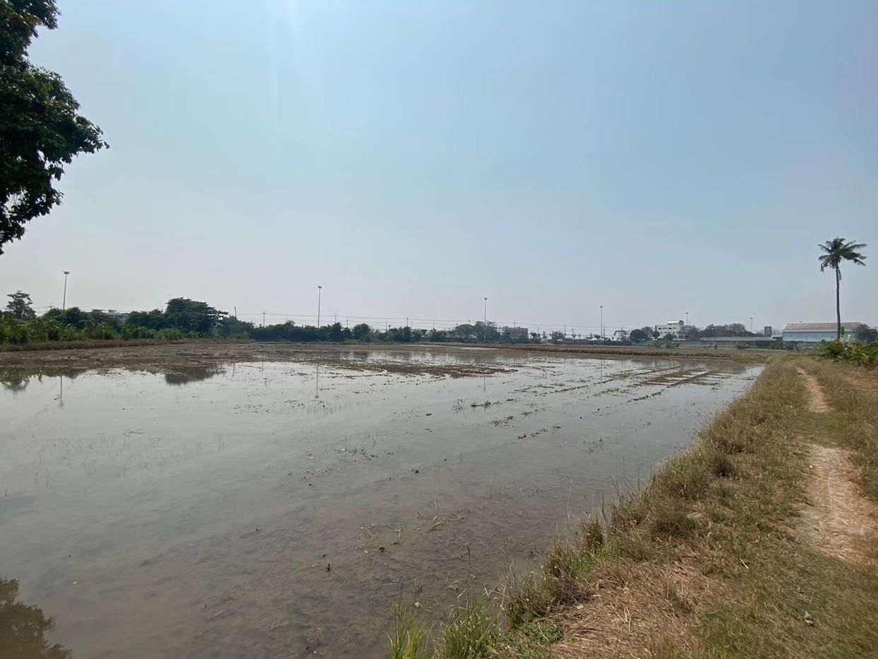 picture ที่ดินเปล่า 76520 square meter Suphanburi Muang Suphanburi Sanamchai for 140615000 THB - 5/9