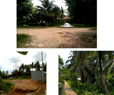 Land for sale : ที่ดินเปล่า 316 square meter Surat Thani Ko Samui Lipa Noi for 638000 THB