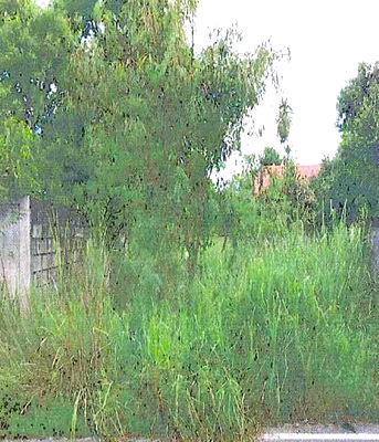 Land for sale Pinthong Industrial Estate : ที่ดินเปล่า 2148 square meter Chonburi Si Racha Nong Kham for 4949000 THB