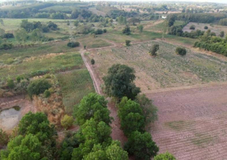 picture 🌳 Land for Sale: 109 Rai – Prime Location   Main Road Frontage Udon Thani – Nong Bua Lamphu - 2/7