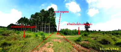 Land for sale : ที่ดินเปล่า 73720 square meter Prachinburi Kabin Buri Khao Mai Kaeo for 0 THB