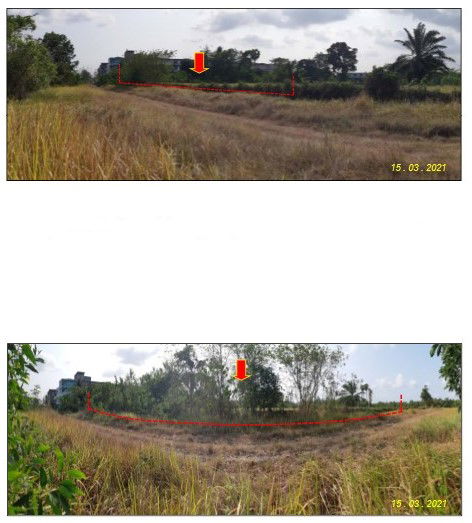 picture ที่ดินเปล่า 1351.6 square meter Chumphon Muang Chumphon Ban Na for 3717000 THB - 1/5
