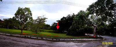 Land for sale Petchburi : ที่ดินเปล่า 320 square meter Petchburi Muang Phetchaburi Nong Khanan for 640000 THB