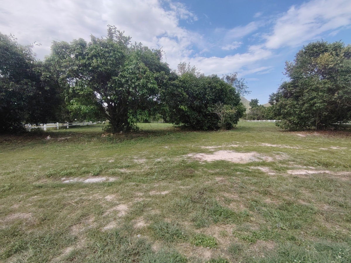 picture 2-0-0 Rai | Awesome Home Building Plot  Ideal For Building Your Dream Villa(s) - 4/15