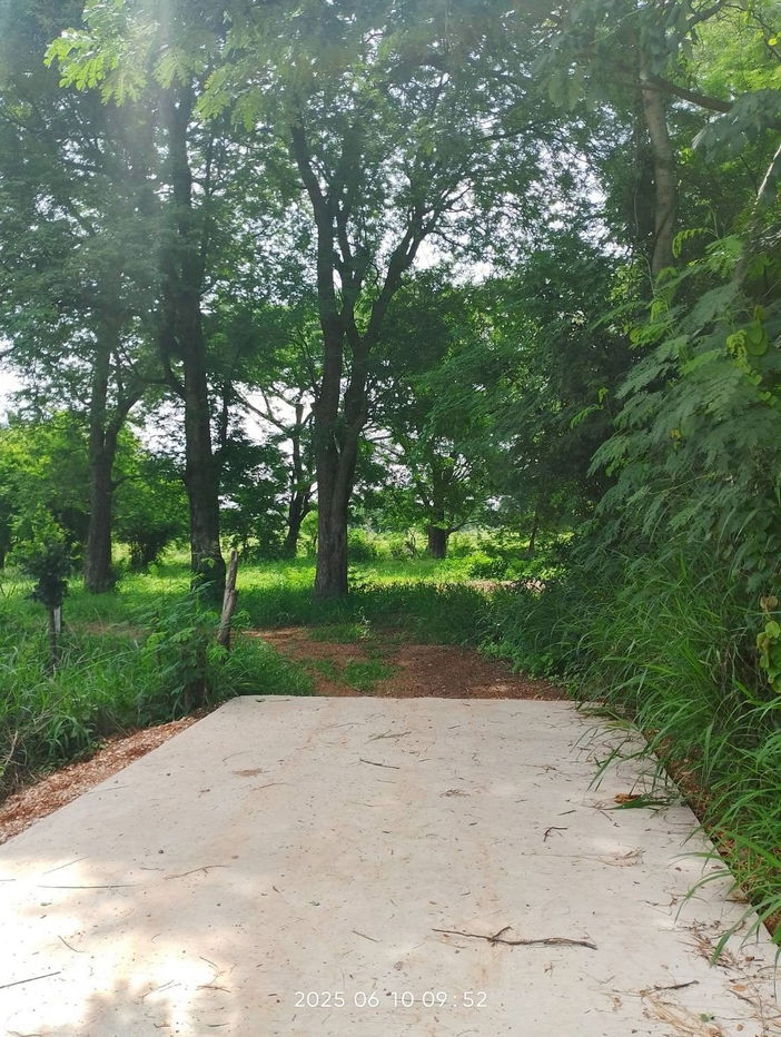 picture Urgent Land Sale – Ban Thum Subdistrict, Mueang Khon Kaen - 2/3