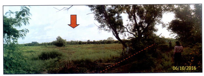picture ที่ดินเปล่า 88.4 square meter Chumphon Muang Chumphon Ban Na for 317000 THB - 2/6