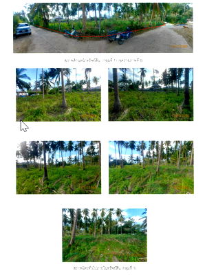 Land for sale Surat Thani : ที่ดินเปล่า 3192.8 square meter Surat Thani Ko Samui Na Muang for 19157000 THB