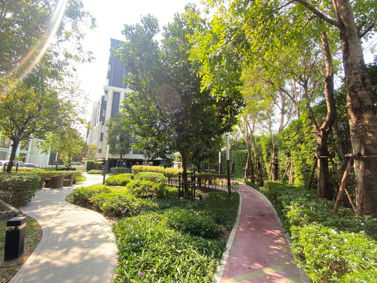 picture 🏙 Condo for rent: Aspire Sukhumvit – Onnut (Code:MCR0369) - 26/29