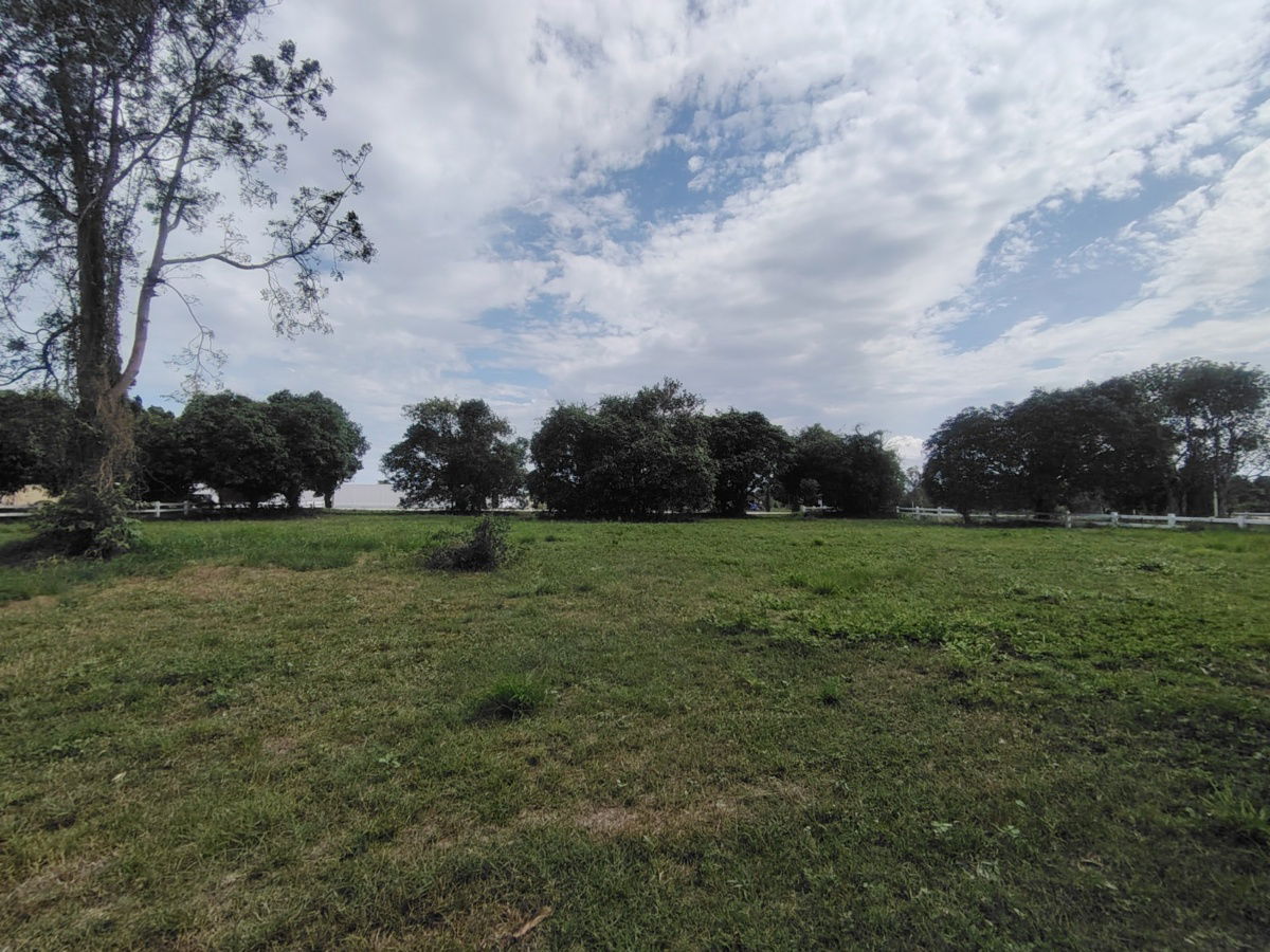 picture 2-0-0 Rai | Awesome Home Building Plot  Ideal For Building Your Dream Villa(s) - 10/15
