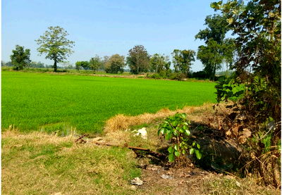 Land for sale : ที่ดินเปล่า 25096 square meter Sukhothai Sawankhalok Na Thung for 6274000 THB
