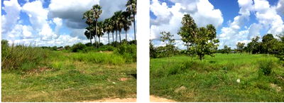 Land for sale Muang Si Sa Ket Si Sa Ket : ที่ดินเปล่า 10404.8 square meter Si Sa Ket Muang Si Sa Ket Muang Tai for 8077000 THB