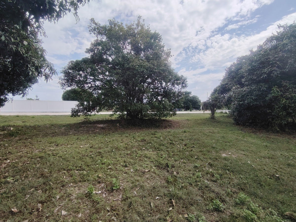 picture 2-0-0 Rai | Awesome Home Building Plot  Ideal For Building Your Dream Villa(s) - 6/15