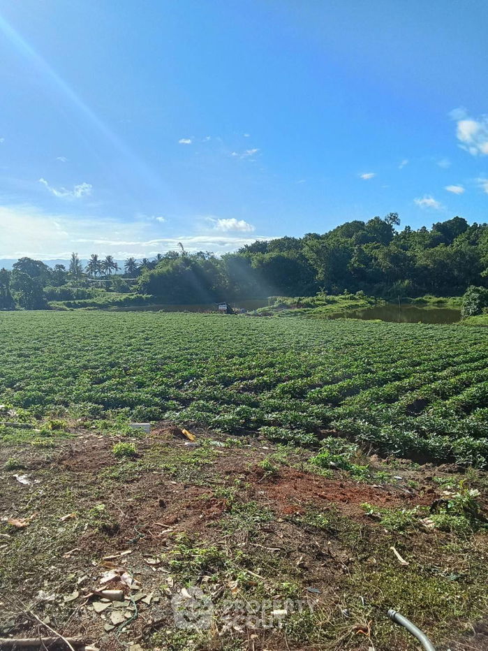 picture 96,800 m² Land for Sale in Mae Sun (ID 2249152) - 1/6