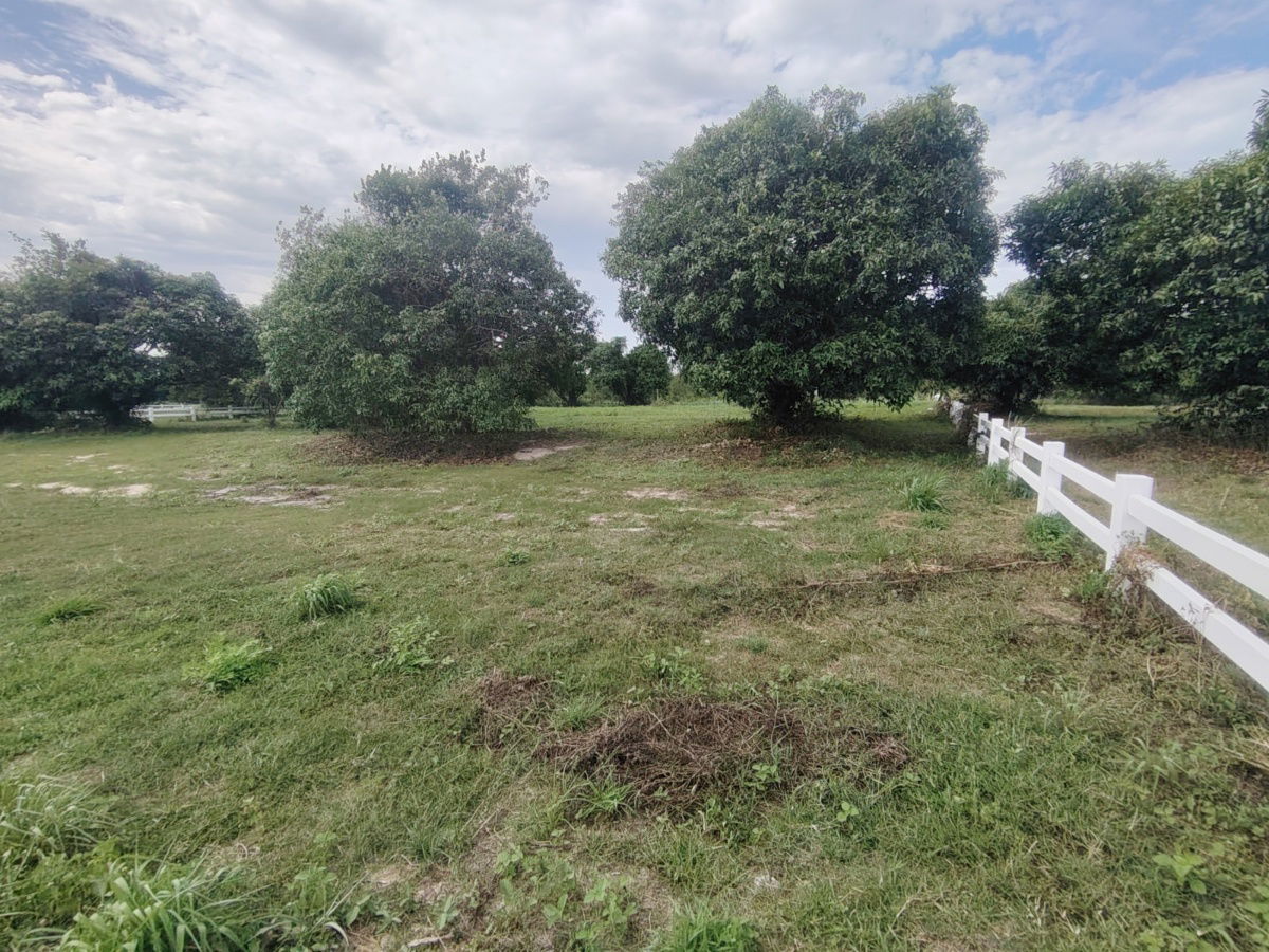 picture 2-0-0 Rai | Awesome Home Building Plot  Ideal For Building Your Dream Villa(s) - 8/15