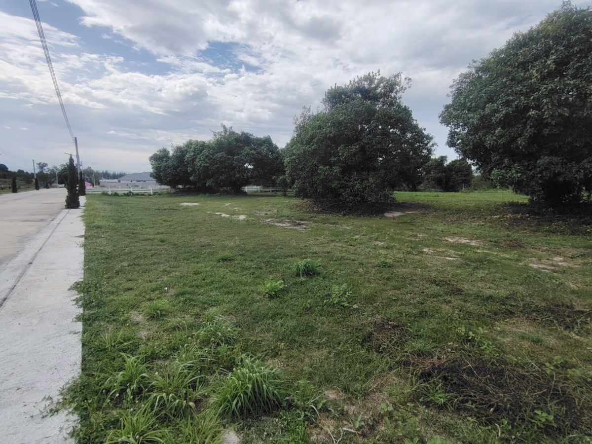 picture 2-0-0 Rai | Awesome Home Building Plot  Ideal For Building Your Dream Villa(s) - 7/15
