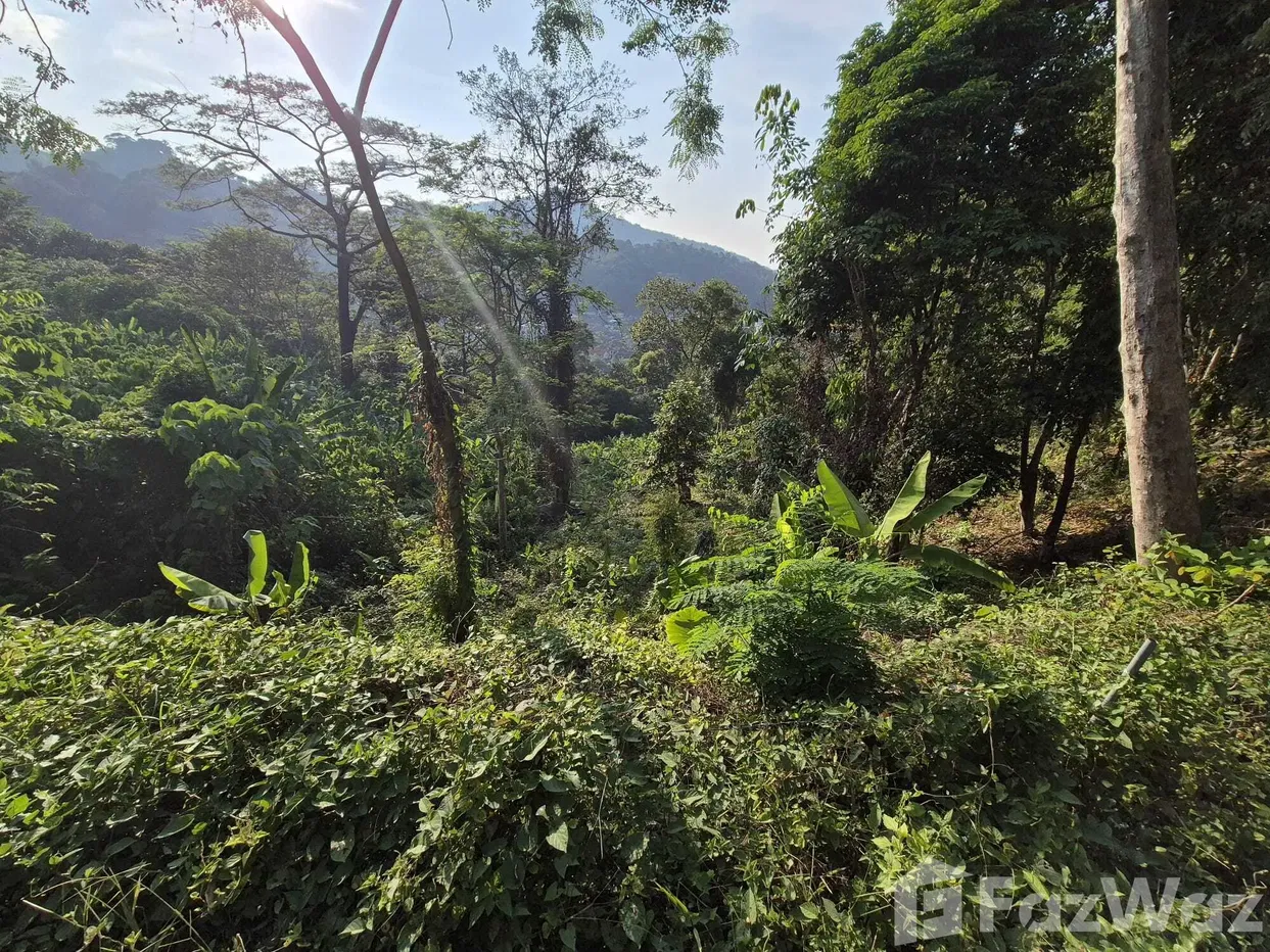 picture Land for sale in Kamala, Phuket - 11/17