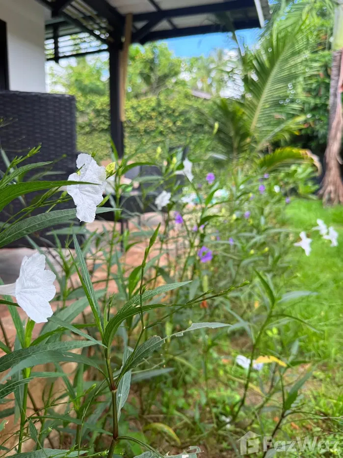 picture Your Little Paradise Awaits – Affordable Luxury in Paklok 🌴 - 8/28