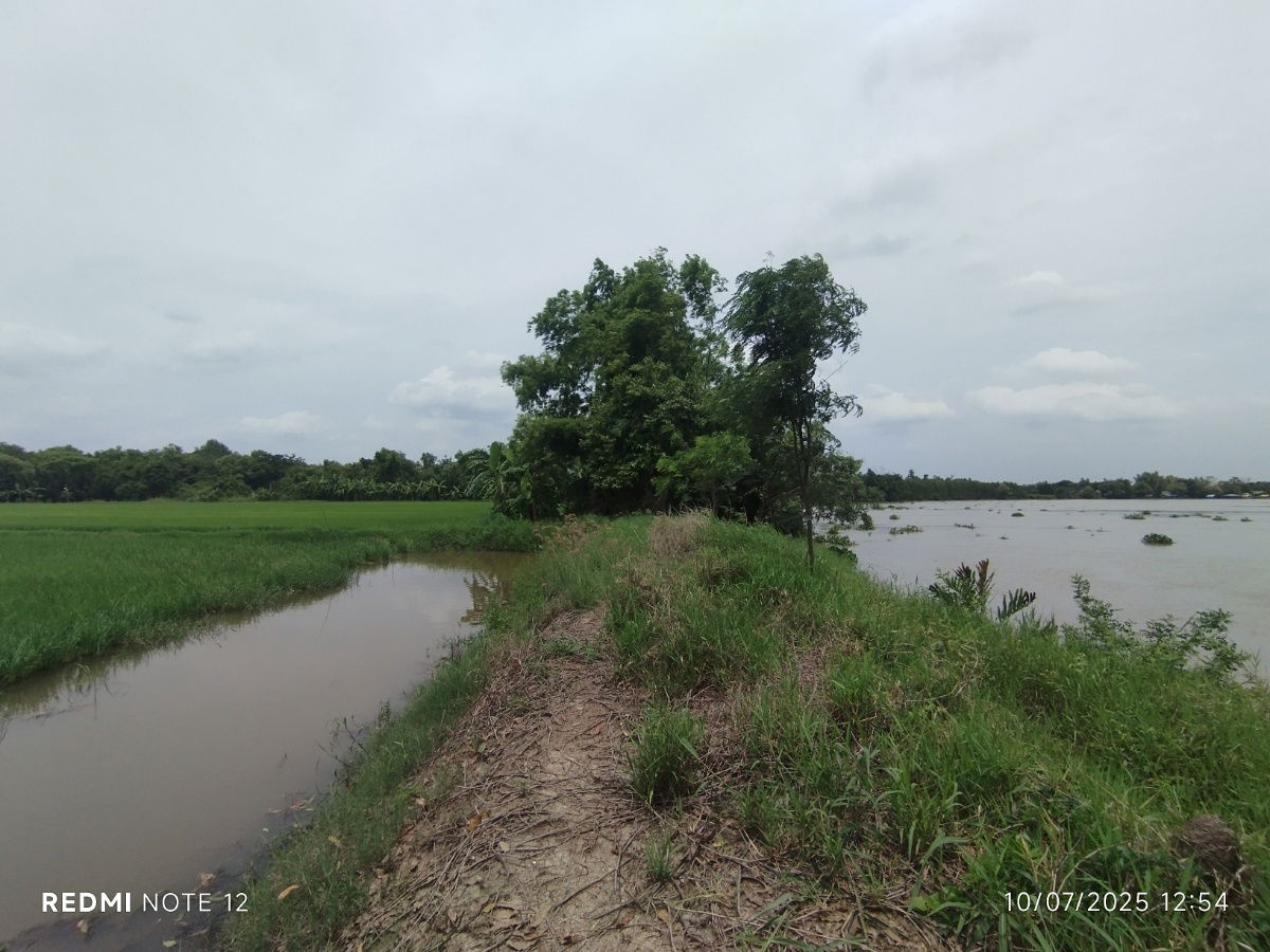 picture 🌊Premium riverside land in BangPakong, 30+rai, ONLY1plot, BangKhla, next to the main road+river, beautiful view, potential for various developments - 8/14