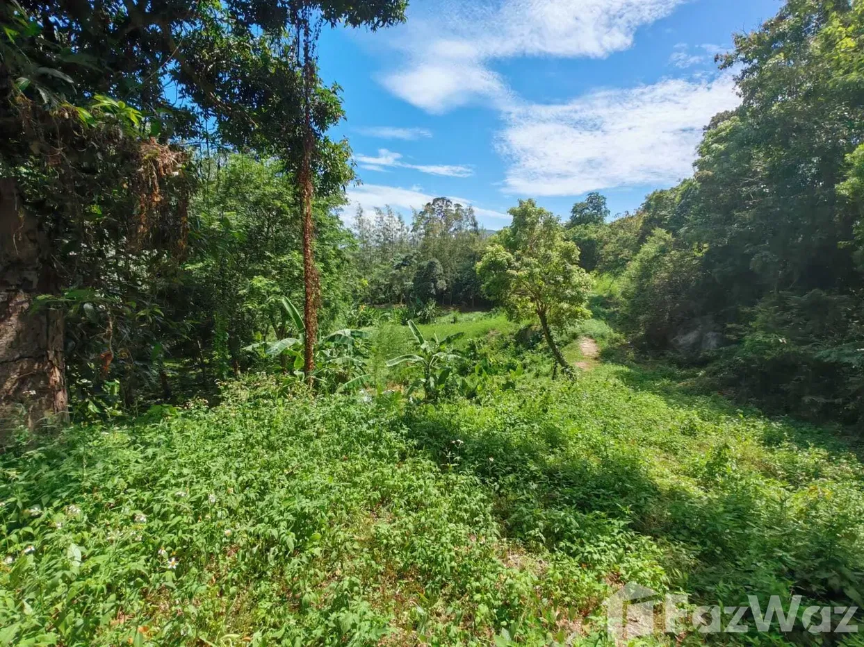 รูป ขาย ที่ดิน ใน มะเร็ต, สุราษฎร์ธานี - รูปที่ 7/15