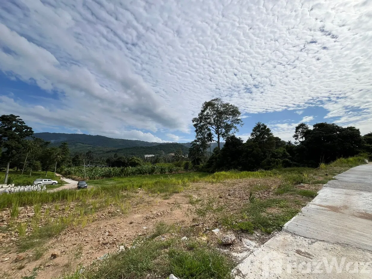 picture Land for sale in Bo Phut, Surat Thani - 2/5