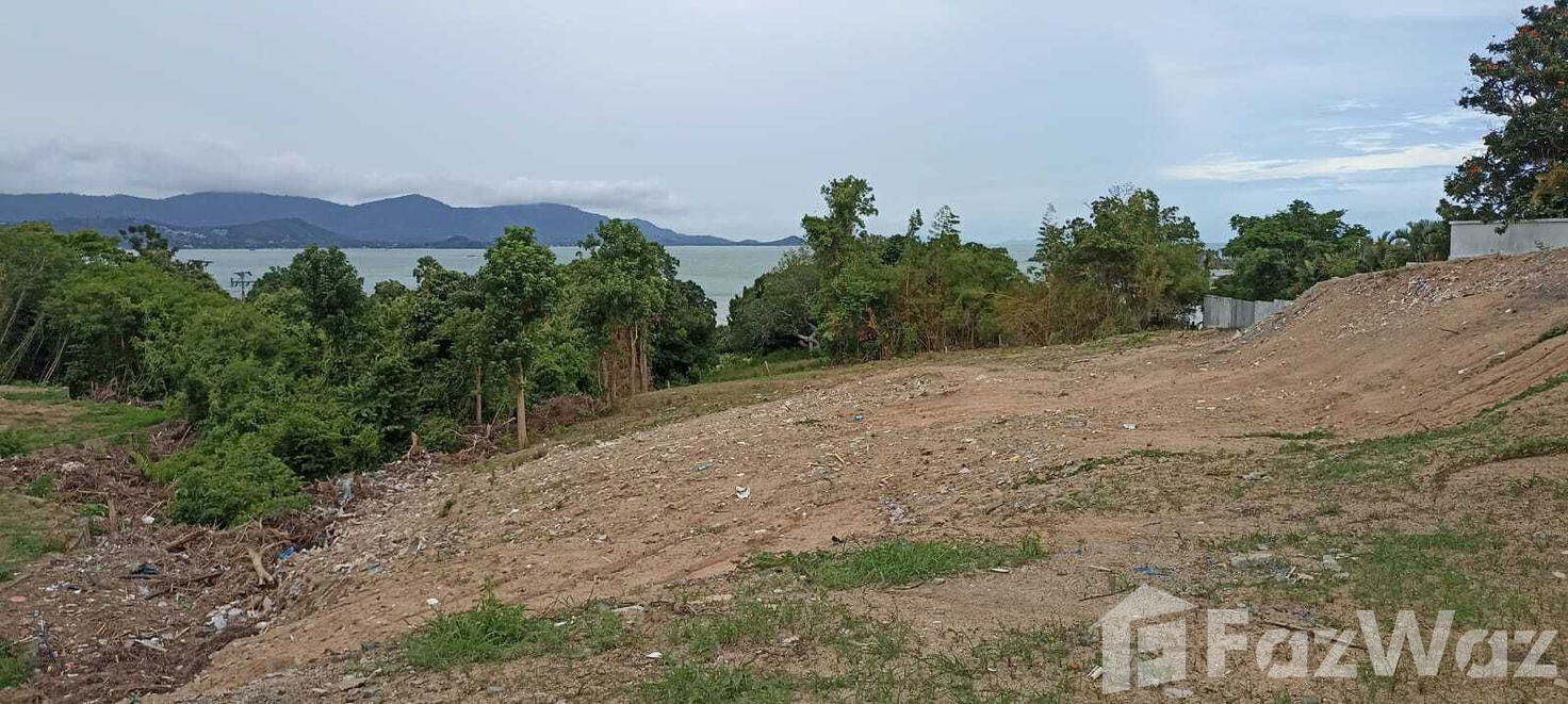 picture Land for sale in Bo Phut, Surat Thani - 7/11