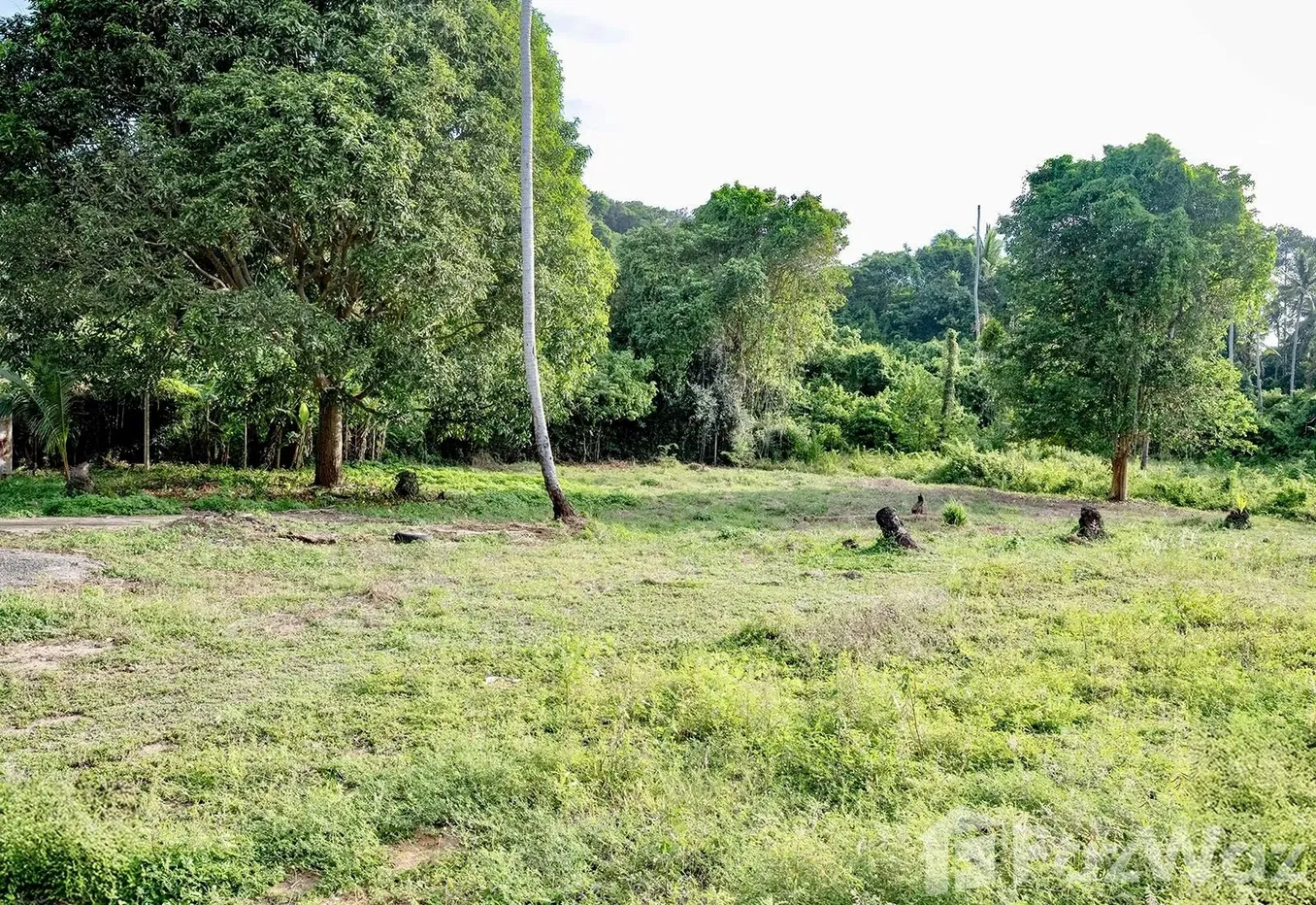 picture Land for sale in Taling Ngam, Surat Thani - 4/15