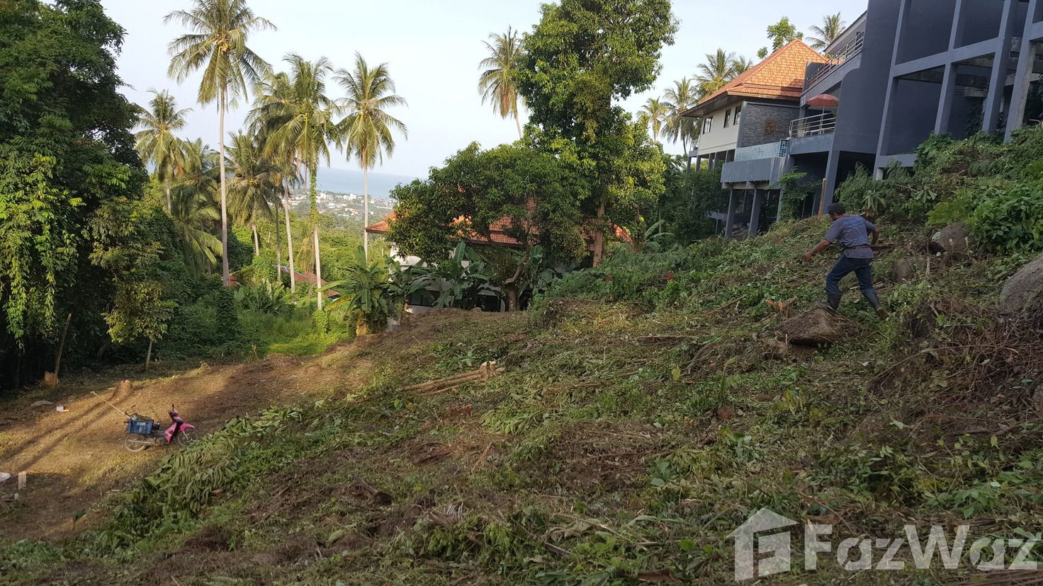 picture Land for sale in Bo Phut, Surat Thani - 2/5