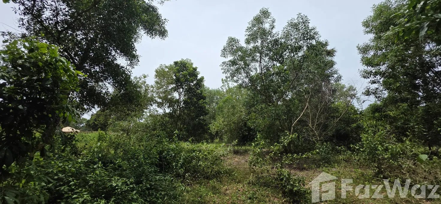 รูป ขาย ที่ดิน ใน ไม้ขาว, ภูเก็ต - รูปที่ 10/16