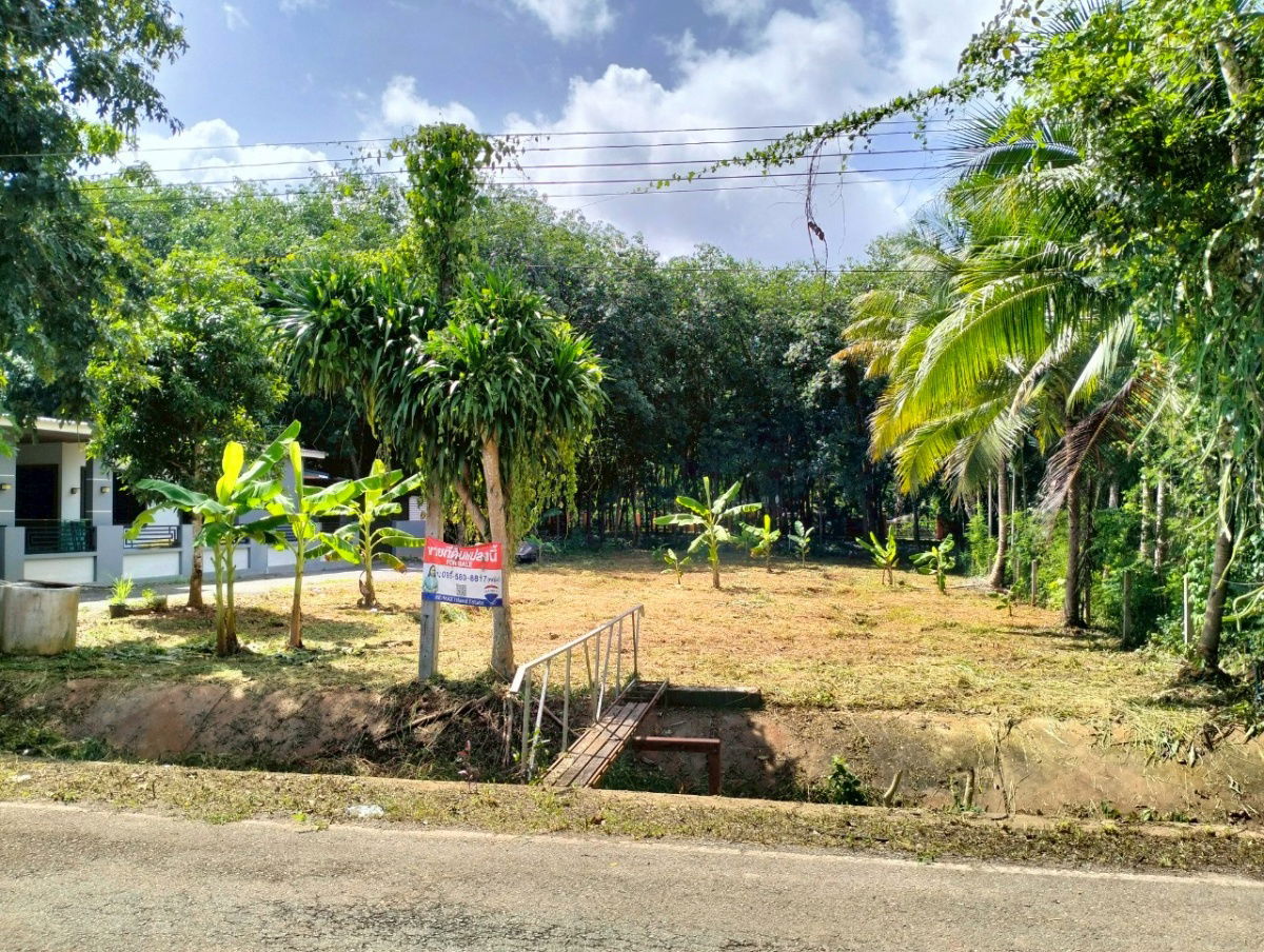 รูป ขายที่ดิน " โฉนด "  251.6 ตร.ว.   เหมาะสำหรับสร้างบ้าน เป็น ที่จัดสรร  นำ้ไม่ท่วม   มีไฟฟ้า ประปาพร้อม  0816919593 , 0945922442  - รูปที่ 4/7