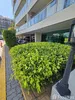 listing thumbnail image 5