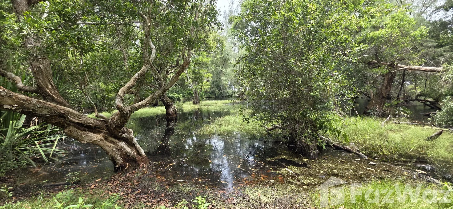 รูป ขาย ที่ดิน ใน ไม้ขาว, ภูเก็ต - รูปที่ 13/16